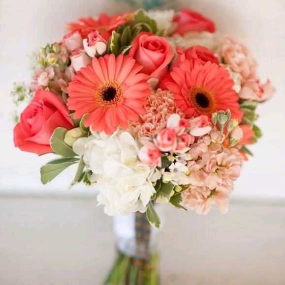 Meet your Posher, Faye - Picture 1 of 1